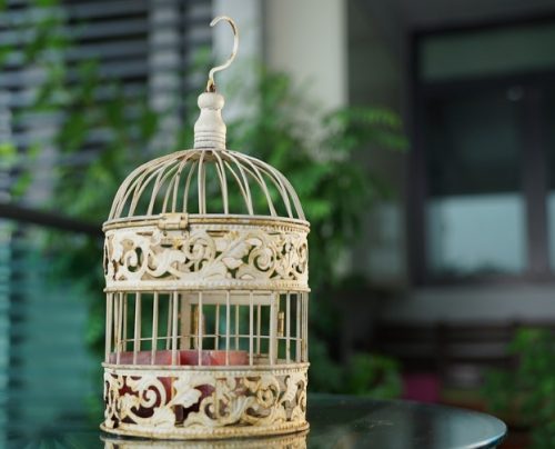 bird cage table topper